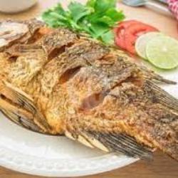 Ikan Laut Goreng   Nasi