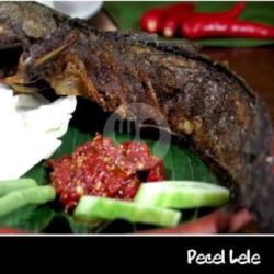 Nasi Uduk   Pecel Lele