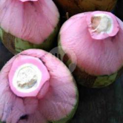 Kelapa Ijo Obat Papas Atas Bawah