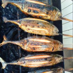 Ikan Bakar Cakalang  Size S