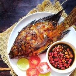 Nila Bakar Madu (ikan Doank)