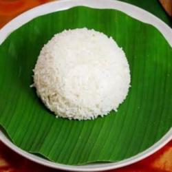 Nasi Punel