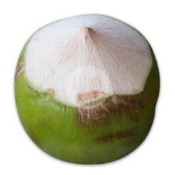 Kelapa Muda Bulat (original)