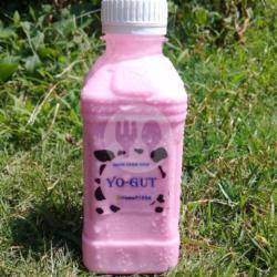 Yoghurt Strawberry Botol