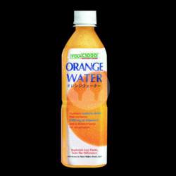 You C 1000 Orange Water Btl500ml-ol