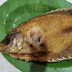 Ikan Nila Goreng Plus Nasi Biasa