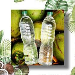 5 Btl Fresh Coconut Water 1,5lt