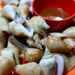 Gonggong Rebus Small   Sambal Seafood