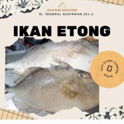 Ikan Etong (6-8.ons)