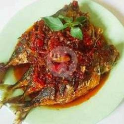 Ikan Sarai Lado Merah