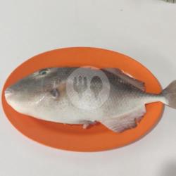 Ikan Jebung Bakar Bumbu Kuning (kecil)