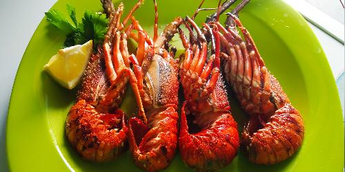 Adzshop Seafood Lobster, Banyuwangi Kota