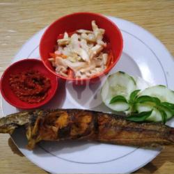 Paket Lele Goreng Dan Nasi   Kremesan