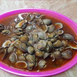 Kerang Dara Saos Tiram