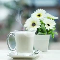 Homil (sweet Hot Milk - Susu Segar Manis Panas)