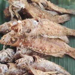 Ikan Kerapu Goreng