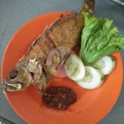 Nasi Ikan Kerapu Goreng