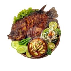 Ikan Bakar / Goreng