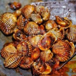 Kerang Dara Saus Padang