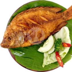1ekor Nila Goreng