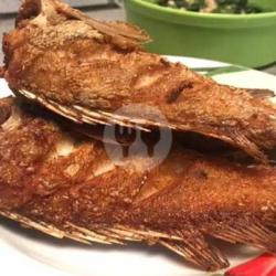 Ikan Sunu Goreng Biasa