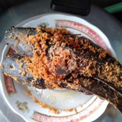 Nasi Ikan Lele