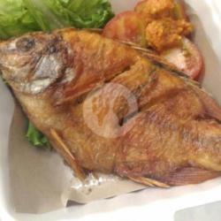 Ikan Kakap Merah Goreng Besar