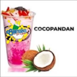 Coco Pandan  Squash (large)