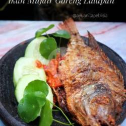 Ikan Mujair Goreng