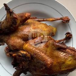 Burung Dara Goreng 1ekor