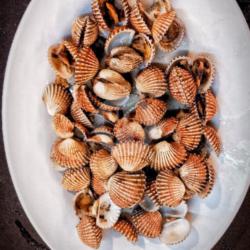 Kerang Dara Rebus