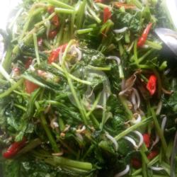 Sayur Sawi Sin Tumis Kecambah