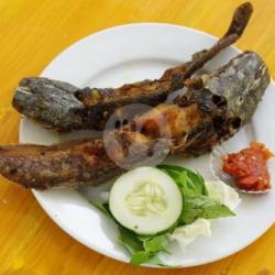 Lele Goreng Sambel Galak