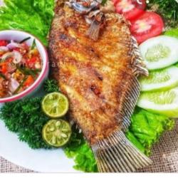 Gurameh Goreng Garing