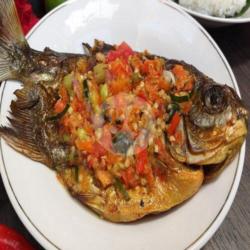 Ikan Gurame Dabu-dabu