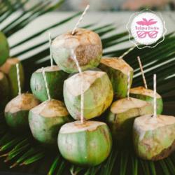 Paket 10 Kelapa Muda Satuan