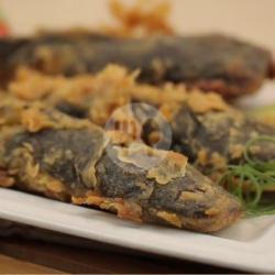 Ikan Lele Crispy (saja)