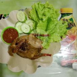Burung Dara Goreng Free Minum