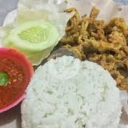 Nasi Spesial Sego Usus Grgtempe