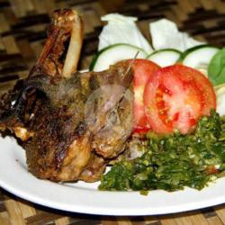 Bebek Cabe Hijau