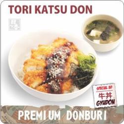 Tori Katsu Don