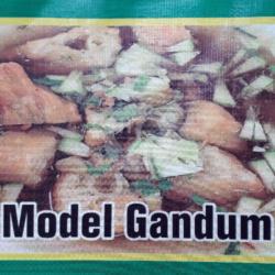 Model Gendum