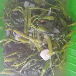 Cah Kangkung Pedas