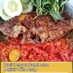 Nasi Penyet Nila Asap Mujair