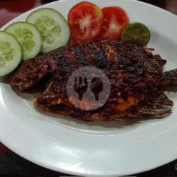 Ikan Lebam Bakar