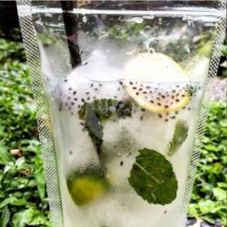 Classic Mojito Allena