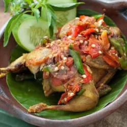 Burung Puyuh Penyet ( Tanpa Nasi )