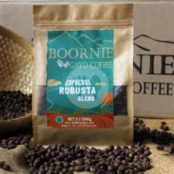 Gayo Robusta Blend 500g