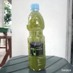 Tebu Ijo Botol Sedang