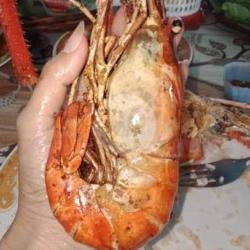 Udang Galah Size L